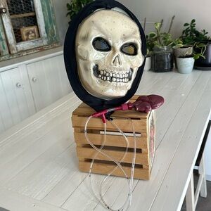 Skeleton adult sized mask, heart pumping blood through skeleton head